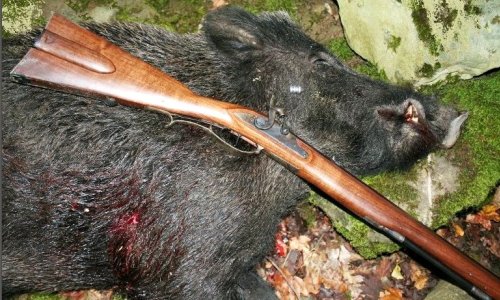 Диетические блюда из грибов маринованных